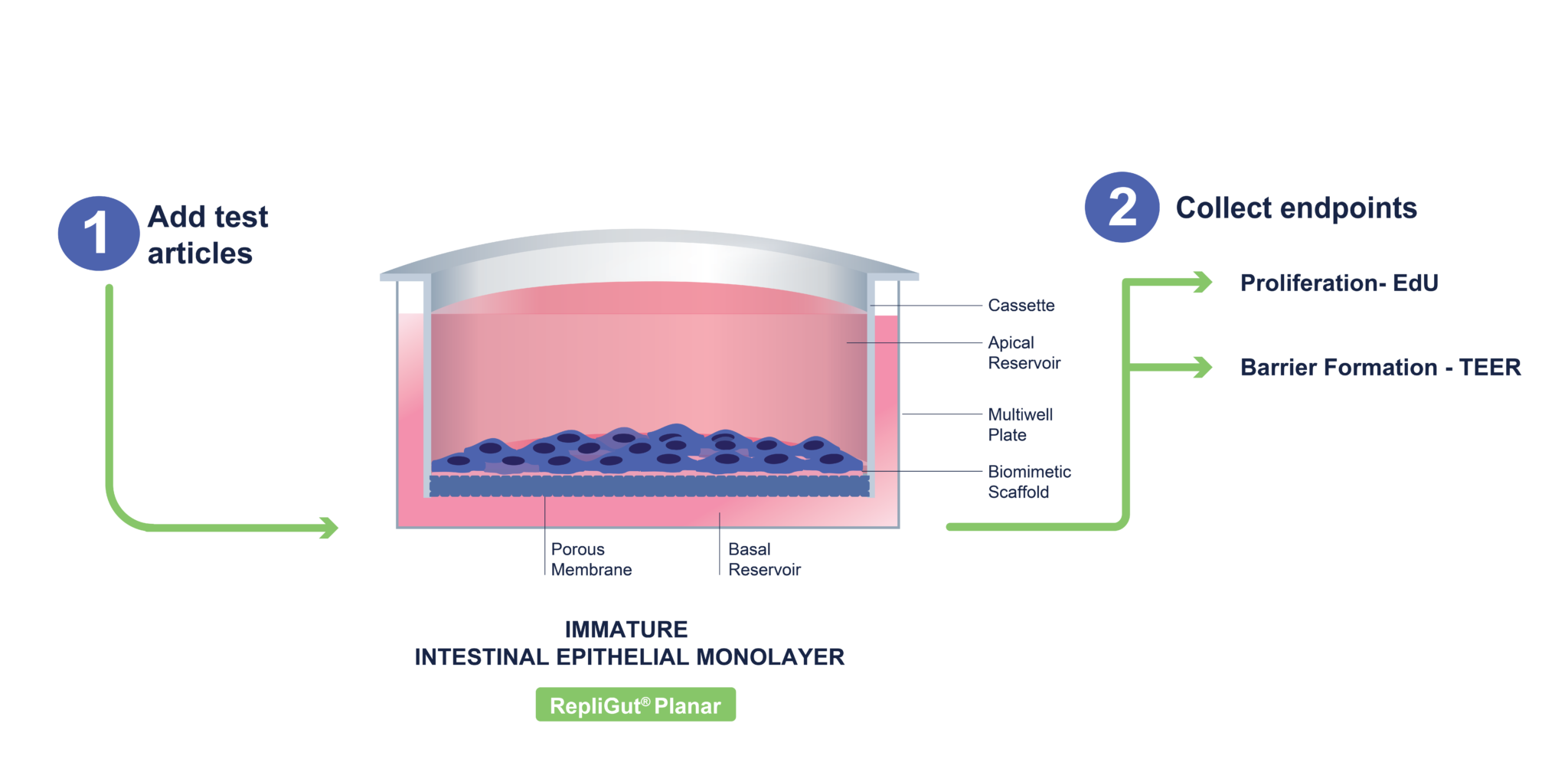 StemTox - Altis Biosystems